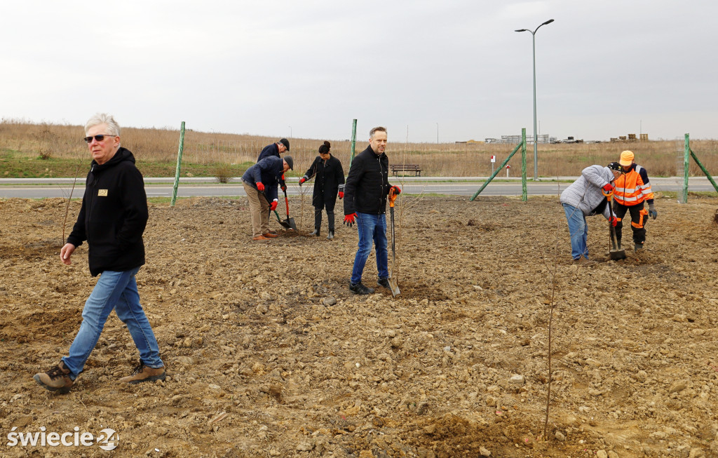Radni sadzili las na Mariankach