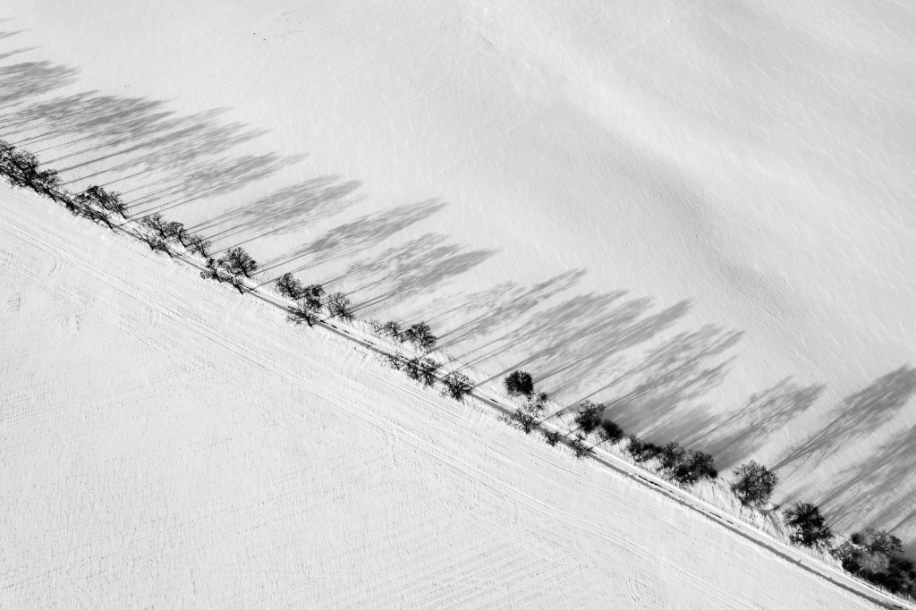 Konkursu fotograficzny 