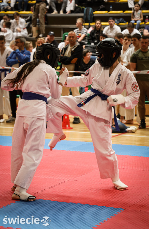 Mistrzostwa karate w Świeciu