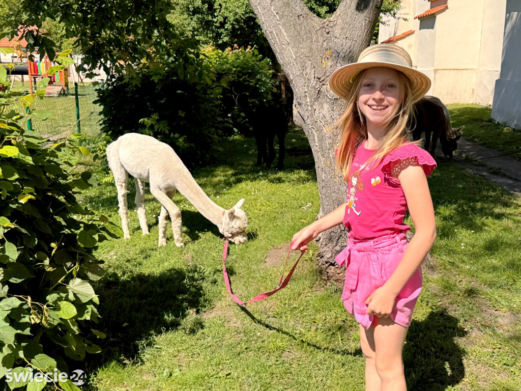 Piknik charytatywny dla Kornelii w Katoliku