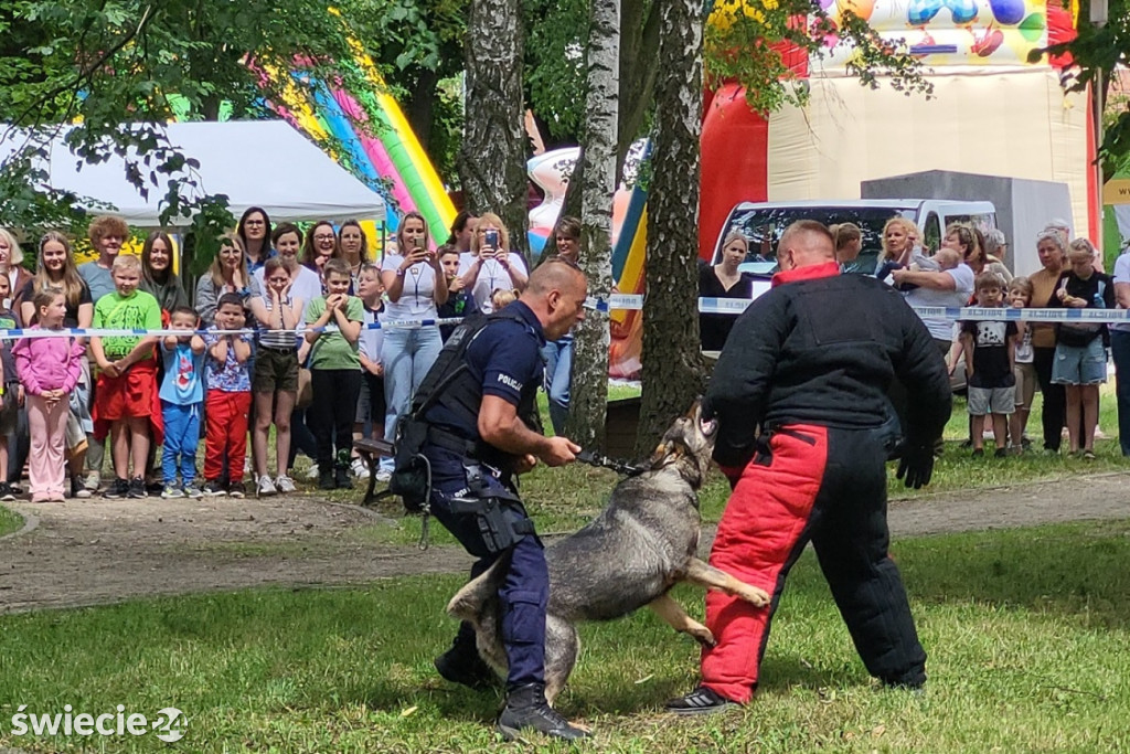Profilaktyczny piknik z policją w Świeciu