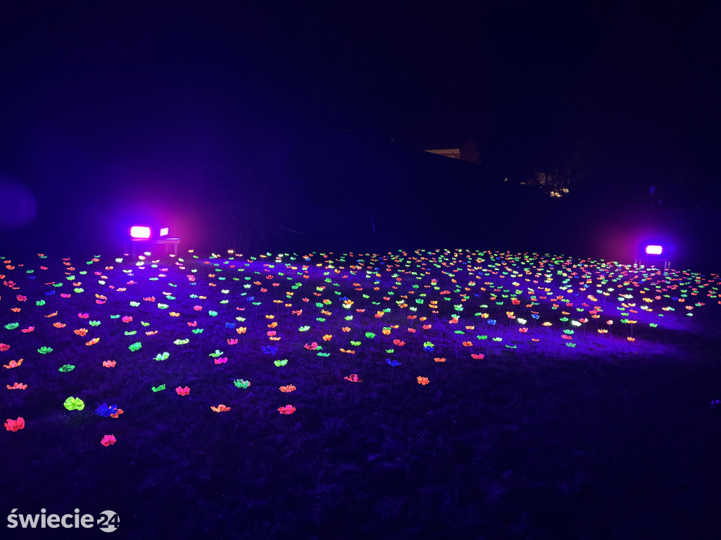 Światłoczuły Festiwal w Chełmnie