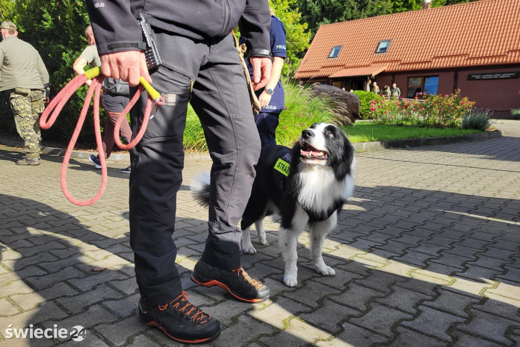 Poszukiwania w lesie — ćwiczenia służb