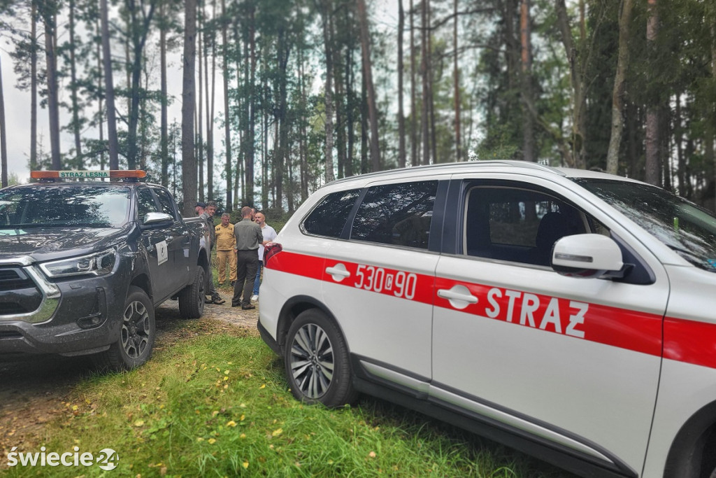 Poszukiwania w lesie — ćwiczenia służb