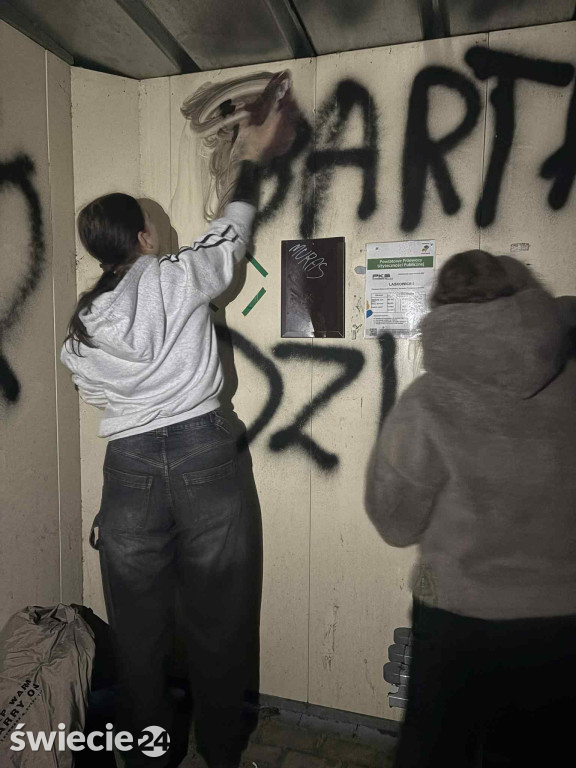 Jeże z gminy Jeżewo zdobią przystanki