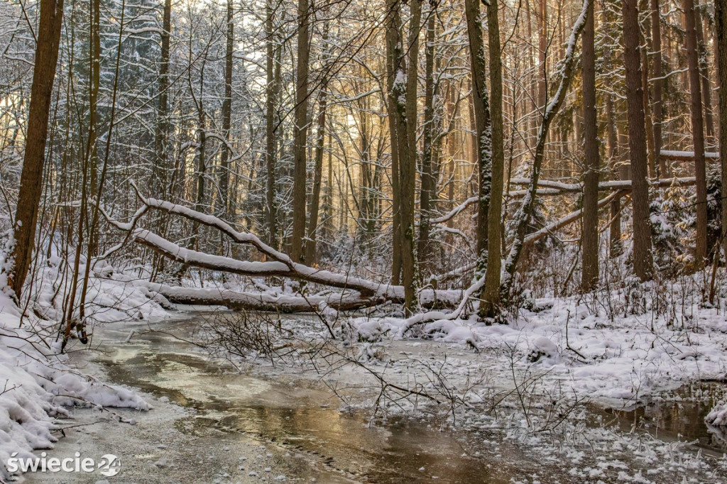 Fotografie Piotra Szumigaja