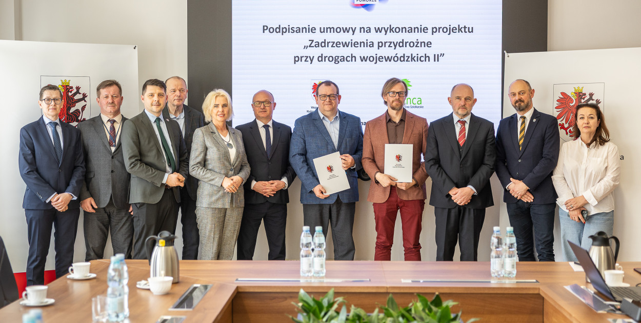 Zadrzewienie dróg wokół Chełmna i Świecia