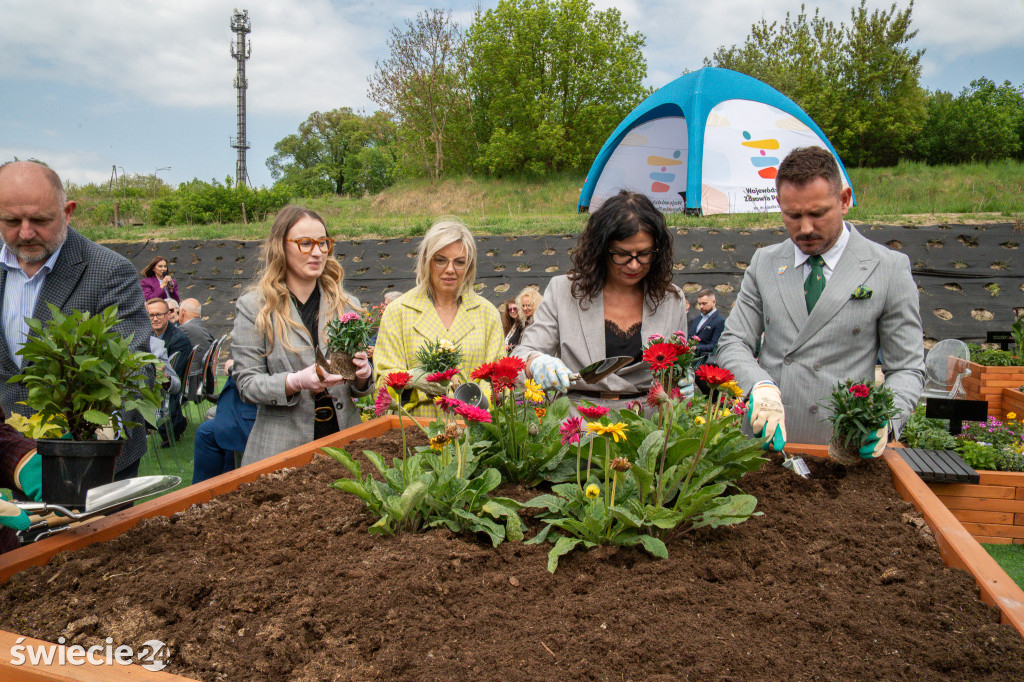 Nowa oranżeria w szpitalu w Świeciu