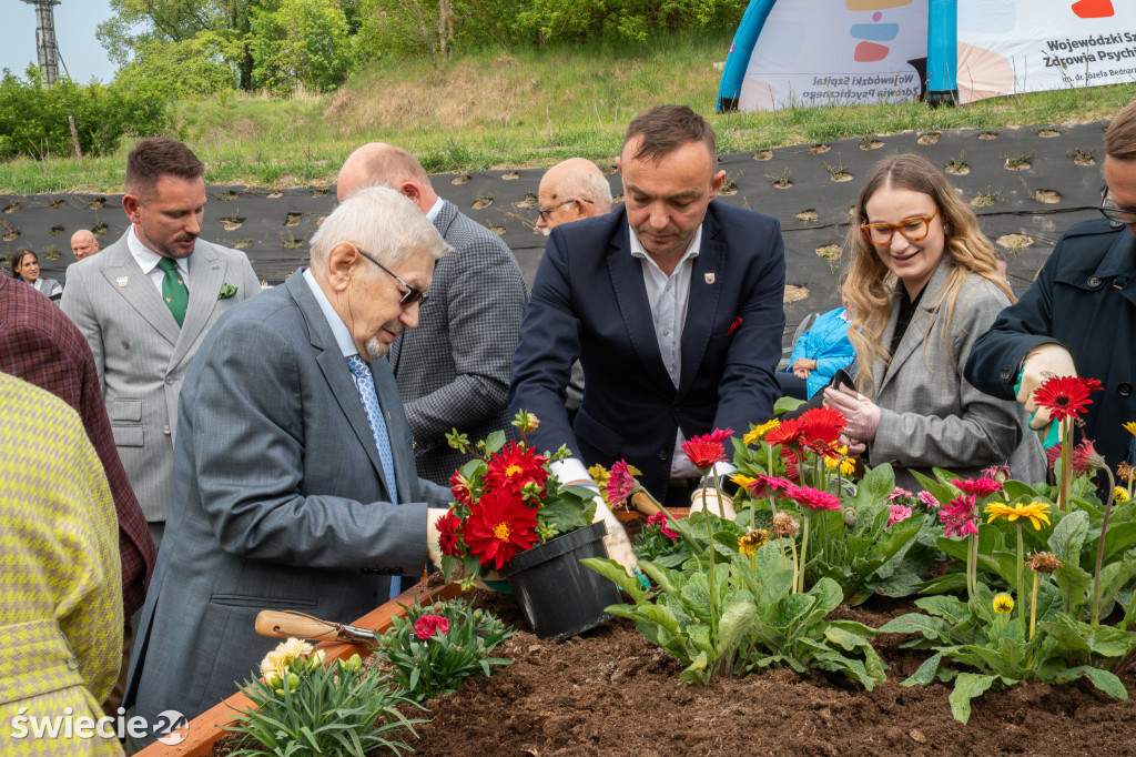 Nowa oranżeria w szpitalu w Świeciu