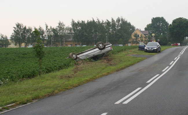 Dachowanie w Niewieścinie