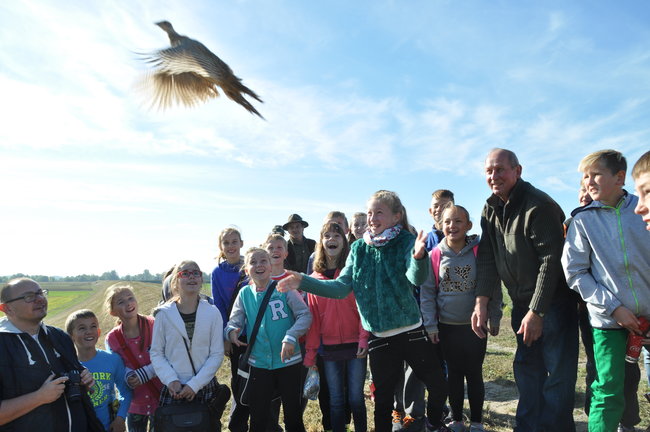 Dzieci wypuszczały bażanty