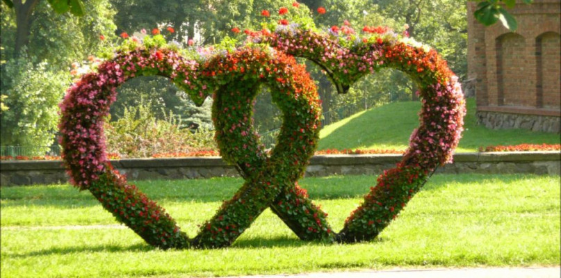 Chełmno - miasto zakochanych