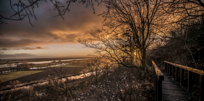 Lekka mgła i zachodzące słońce to idealne warunki do fotografowania. Fot. Robert Woźniak