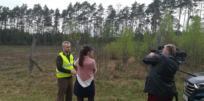 fot. Nadleśnictwo Dąbrowa