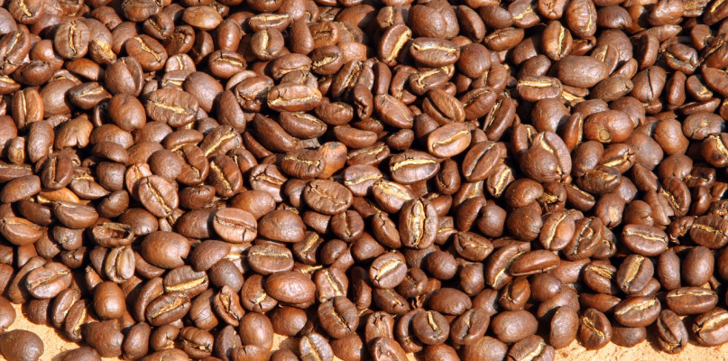 Słowniczek kawowy - jakie pojęcia powinien znać każdy smakosz kawy?