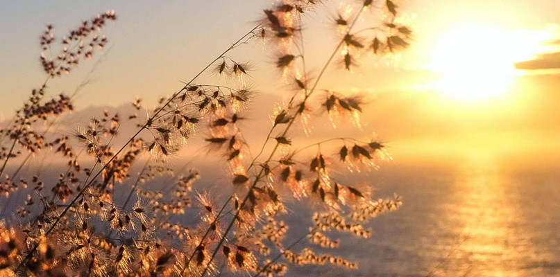 Najbardziej słoneczne miasta w Polsce | Holidu