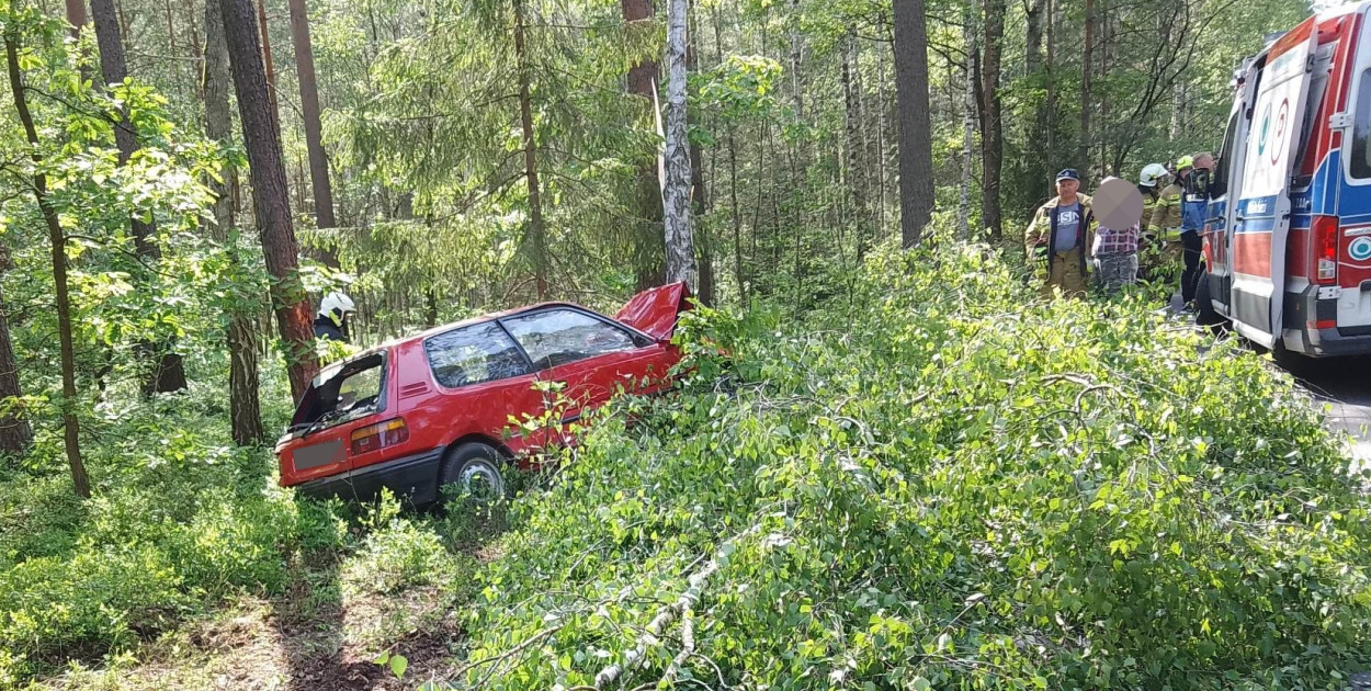 Kierowca osobówki zatrzymał się na drzewie. Poważny wypadek w gminie Osie