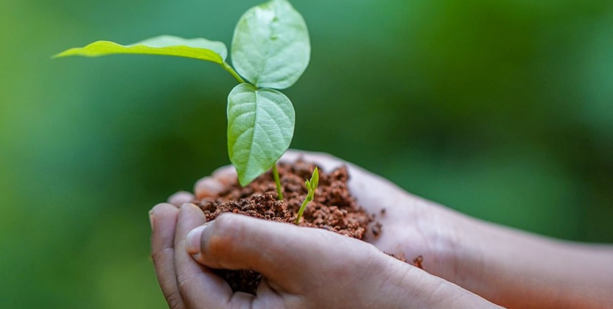 Adiuwanty olejowe – jak działają i jakie są ich zastosowania?