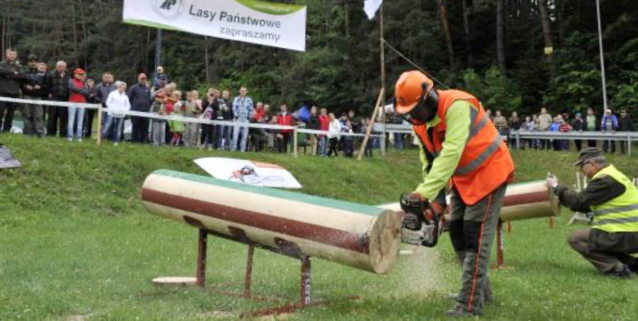 archiwum Lasów Państwowych