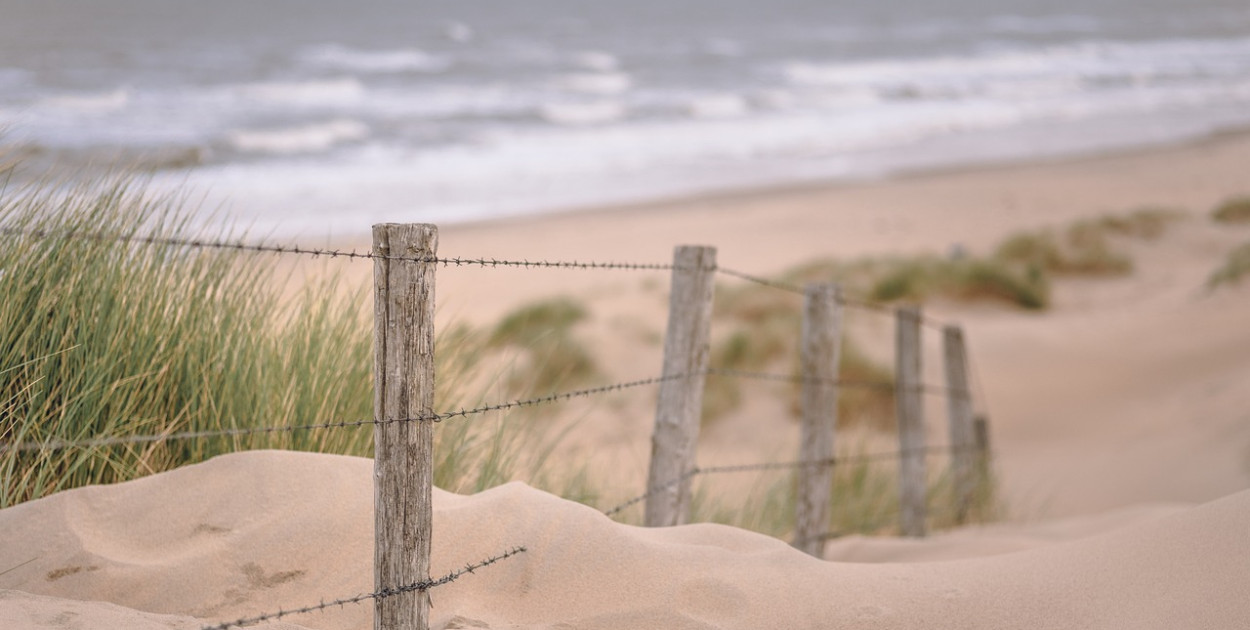 Wydmy w Polsce: które warto zobaczyć?