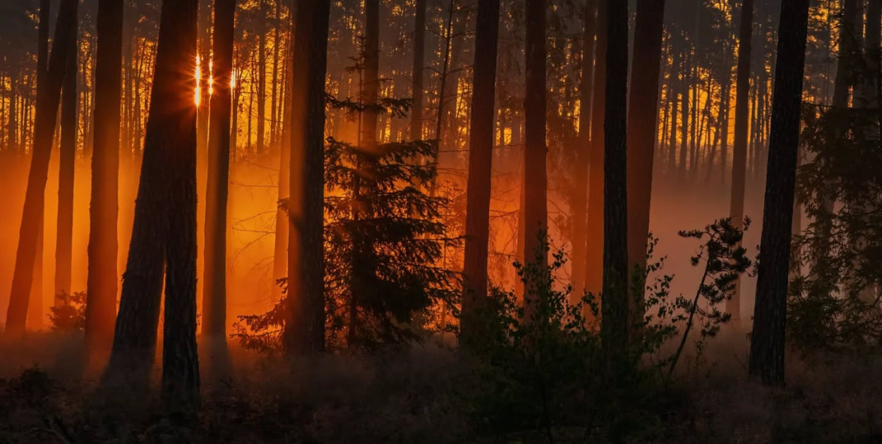 To jedna z fotografii Piotra Szumigaja, więcej na stronie  www.piotrszumigaj.com
