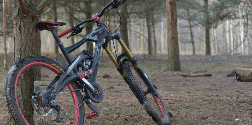 44-latek ukrył w lesie skradziony rower. Zdjęcie ilustracyjne - pixabay