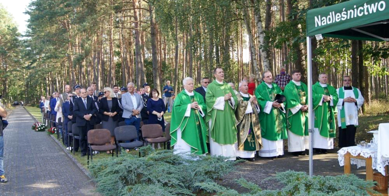 archiwum: Nadleśnictwo Dąbrowa