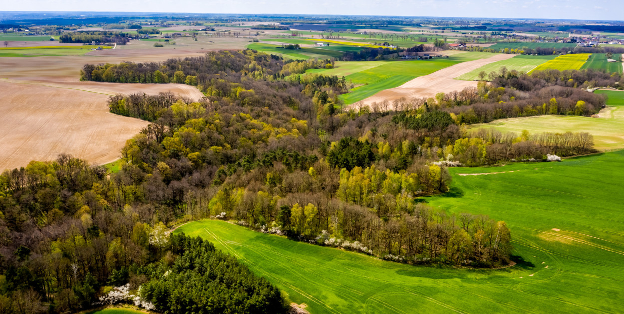 Zdjęcie lotnicze rezerwatu Wąwóz Wyrwa/materiał Zespołu Parków Krajobrazowych nad Dolną Wisłą