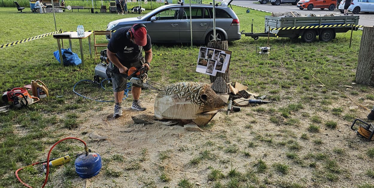 archiwum Nadleśnictwo Dąbrowa