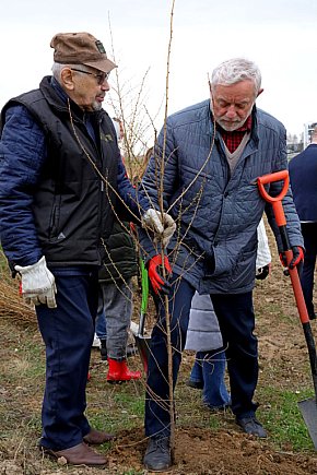 Radni sadzili las na Mariankach-3833