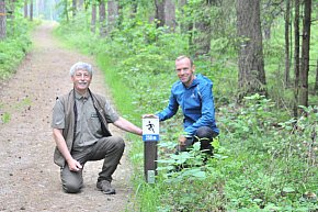 Jak powstawała ścieżka biegowa wokoło Tlenia-4332
