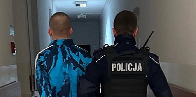 Szafa, strych, a nawet Hiszpania. Policja dotrze wszędzie za przestępcami-21508