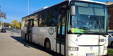 Będzie więcej autobusów na trasie Świecie - Toruń-24721