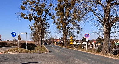 Kiedy i dokąd dojedziemy nową ul. Działkowców w Świeciu? FILM-26103