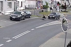 Nastolatka potrącona na ścieżce rowerowej. Kolejne zdarzenie z hulajnogą FILM-26917