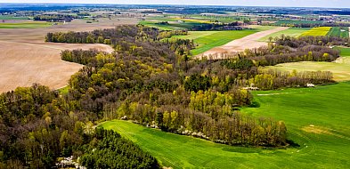 Wąwóz Wyrwa — liga mistrzów wśród rezerwatów w regionie. Jutro otwarcie-26909