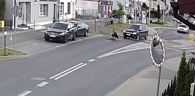 Nastolatka potrącona na ścieżce rowerowej. Kolejne zdarzenie z hulajnogą FILM-26917