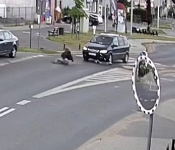 Nastolatka potrącona na ścieżce rowerowej. Kolejne zdarzenie z hulajnogą FILM-26917