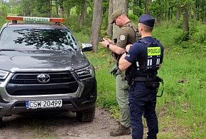 Policja i Straż Leśna walczą z leśnymi przestępcami. Użyli nawet drona-27210