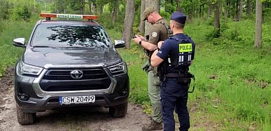 Policja i Straż Leśna walczą z leśnymi przestępcami. Użyli nawet drona-27210