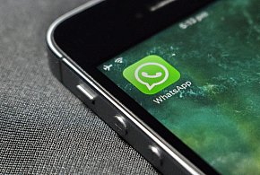 WhatsApp się zmienia. Czy aplikacja będzie płatna?-27274