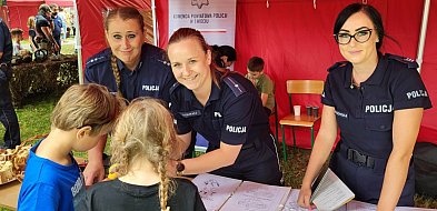 Moc atrakcji na rodzinnym pikniku z policją w Świeciu ZDJĘCIA-27391