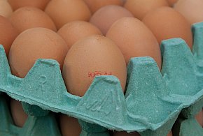 Salmonella na jajach znanej marki. Nie jedz, jeśli masz je w lodówce!-27401