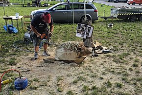 Maszyny, drony, pszczoły i wiele więcej. Dzień Leśnika w Jeżewie-27501