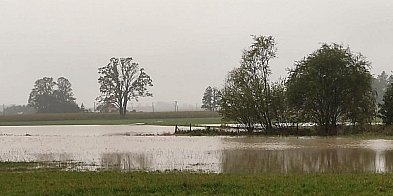 Deszczowe lato dało się we znaki rolnikom-27793