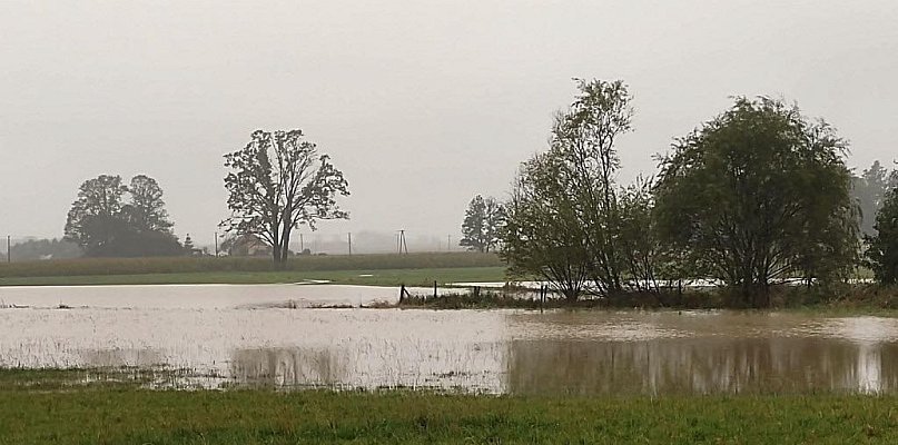 Deszczowe lato dało się we znaki rolnikom - 27793