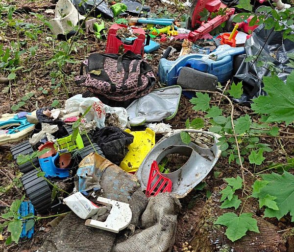Wstrząsające odkrycie w lesie. Kto rozpoznaje psa lub porzucone wokół śmieci?-27974