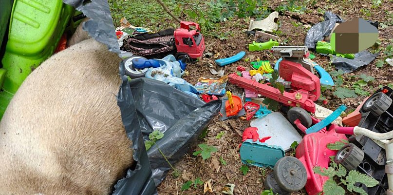 Wstrząsające odkrycie w lesie. Kto rozpoznaje psa lub porzucone wokół śmieci? - 27974