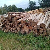 zdjecie ogloszenia