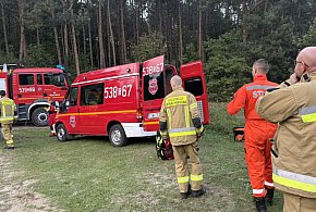 67-latka wyszła na grzyby i nie wróciła. Od wczoraj szukały jej służby-28447